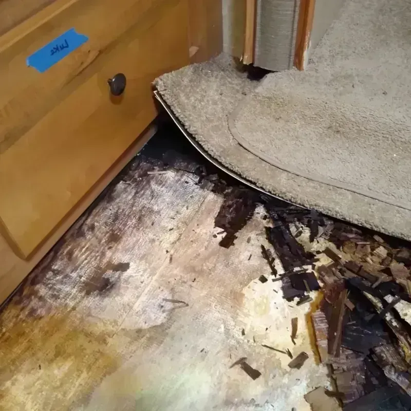 Best Wood Floor Water Damage Service in New Castle, DE